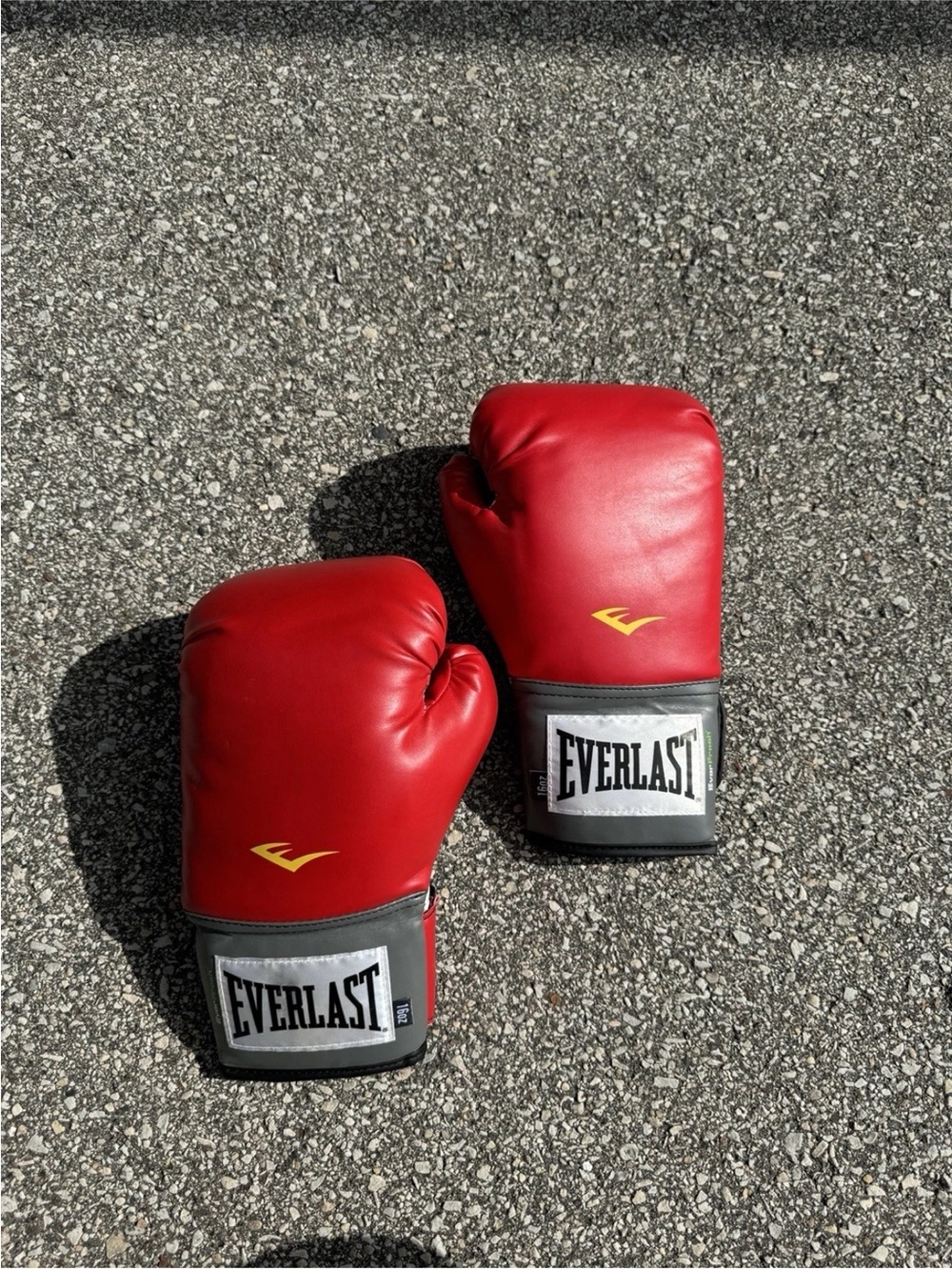 Everlast Pro Style  Boxing Gloves Red – Training